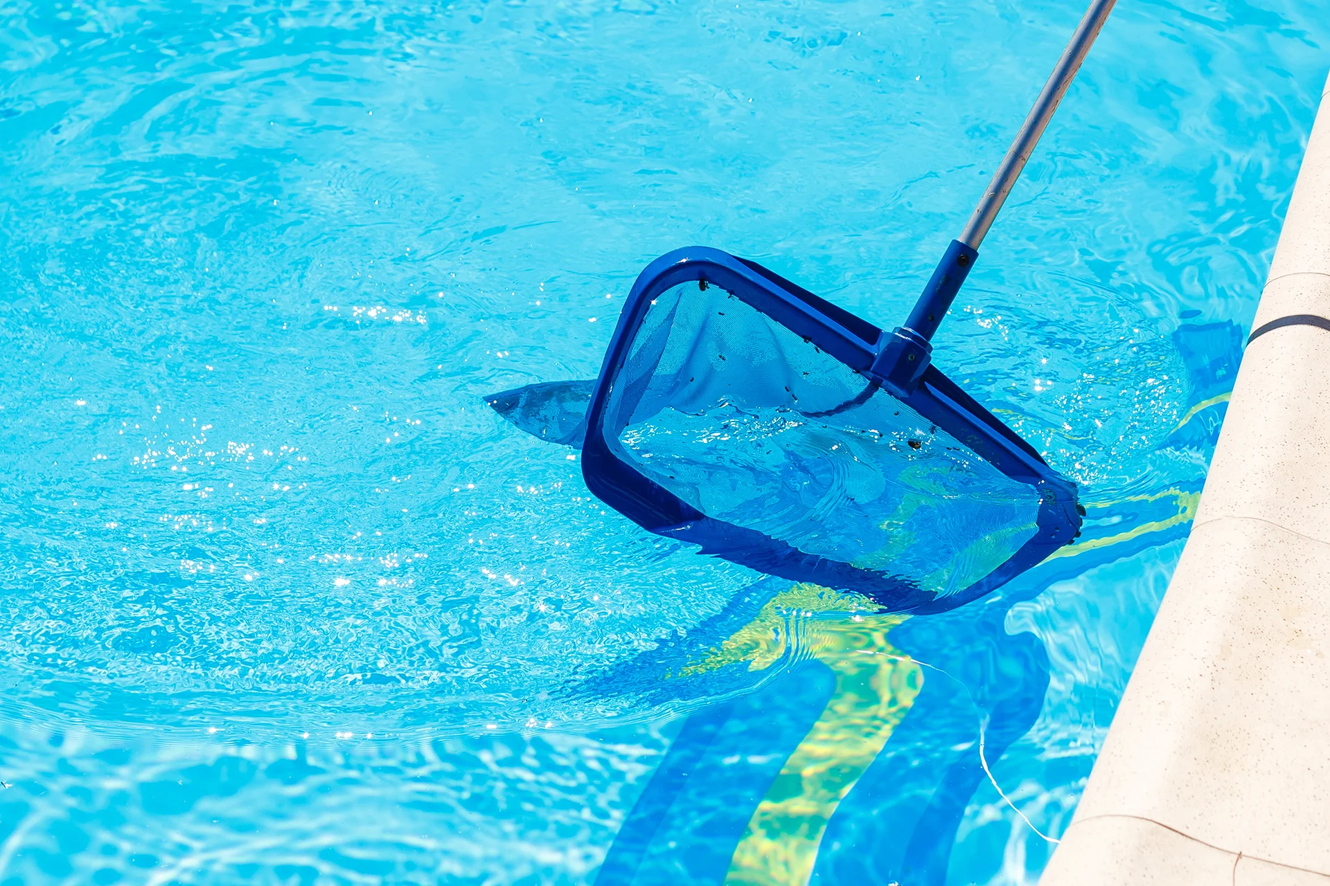 A pool skimmer net clearing debris from clear blue swimming pool water.